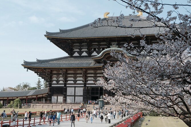 Nara Heritage Walkabout From Nara Park to Todaji Temple - Cultural Immersion Experience