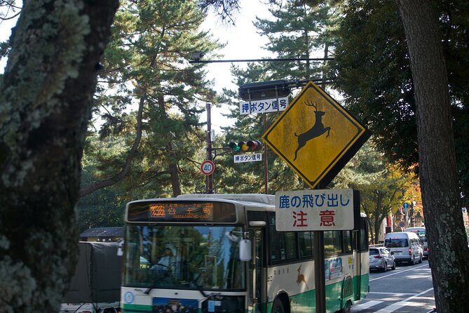 Nara Heritage Walkabout From Nara Park to Todaji Temple - Transportation and Meeting