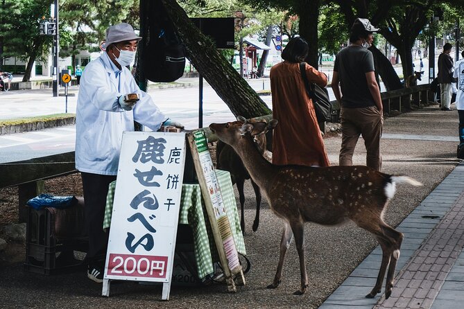 Nara Heritage Walkabout From Nara Park to Todaji Temple - Group Size and Fitness