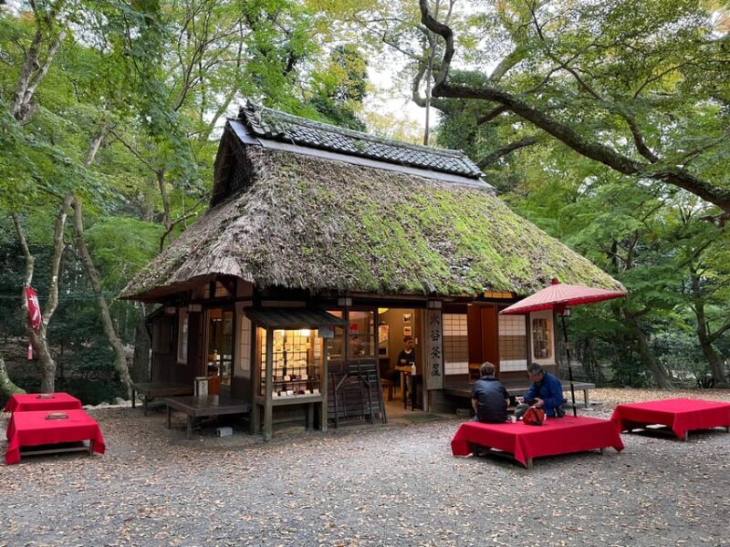 Nara: Hiking in the Forest, Big Buddha, Deer, Shrine, Sunset - Discovering Kasuga-taisha Shrine