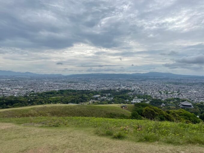 Nara: Hiking in the Forest, Big Buddha, Deer, Shrine, Sunset - Important Tour Information
