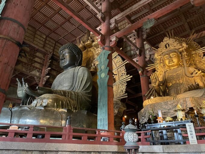 Nara: Hiking in the Forest, Big Buddha, Deer, Shrine, Sunset - Frequently Asked Questions