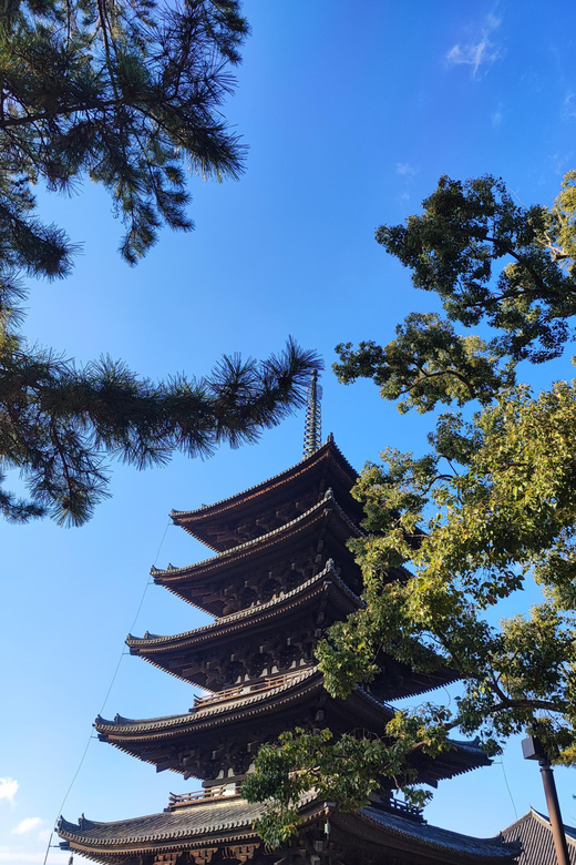 Nara Imaginary Experience - Engaging the Imaginative Senses