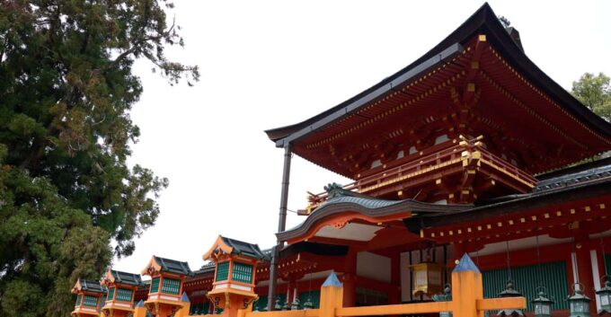 Nara: Kasuga Taisha, World Heritage and Sacred Deer Shrine - Booking and Cancellation Policy