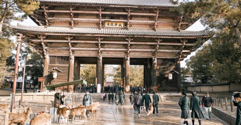 Nara Like a Local: Customized Guided Tour - Tour Inclusions