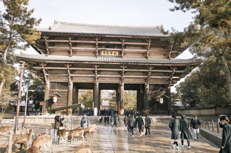 Nara Like a Local: Customized Guided Tour - Tour Customization