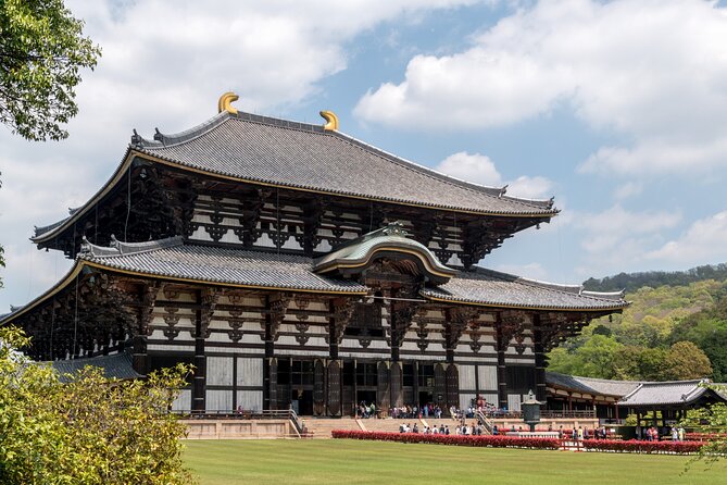 Nara Like a Local: Customized Private Tour - Cancellation Policy