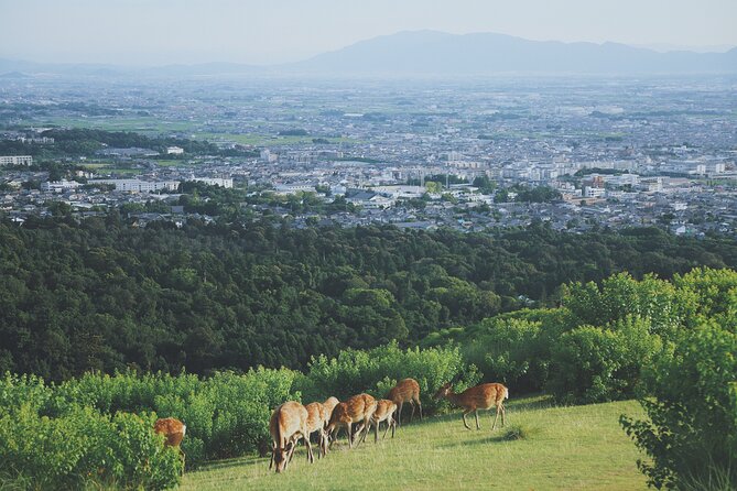 Nara Like a Local: Customized Private Tour - Exploring Naramachi
