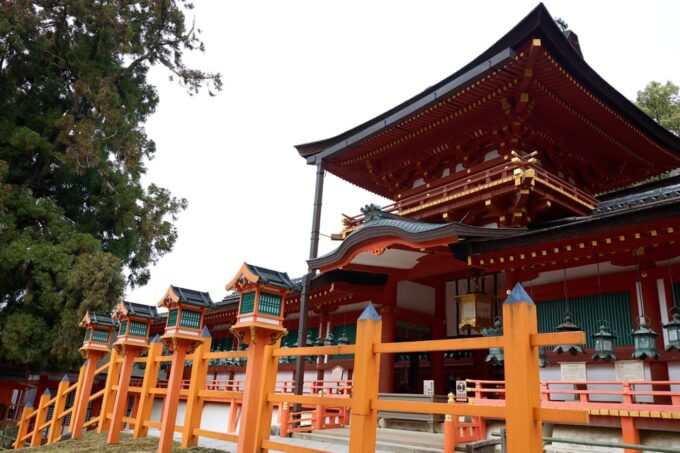 Nara: Nara's Highlights in 3 Hours – Private Tour - Marveling at the Great Buddha of Todai-ji Temple
