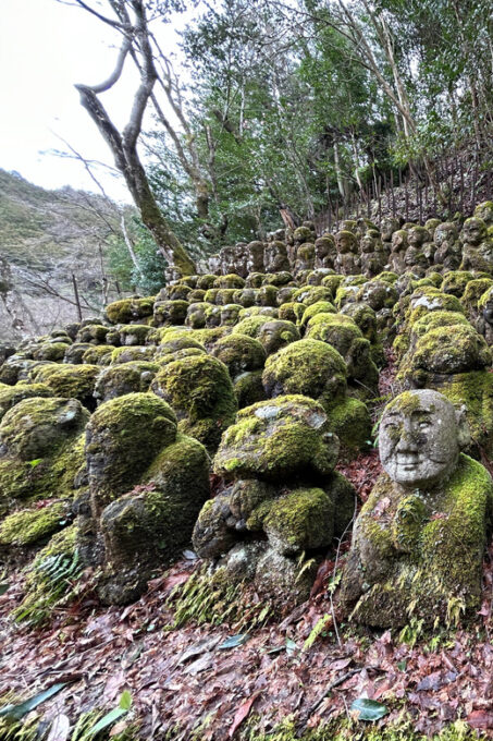 Nara Optional:Kyoto Private Car Tour With Japanese Navigator - Discovering Entoku-in
