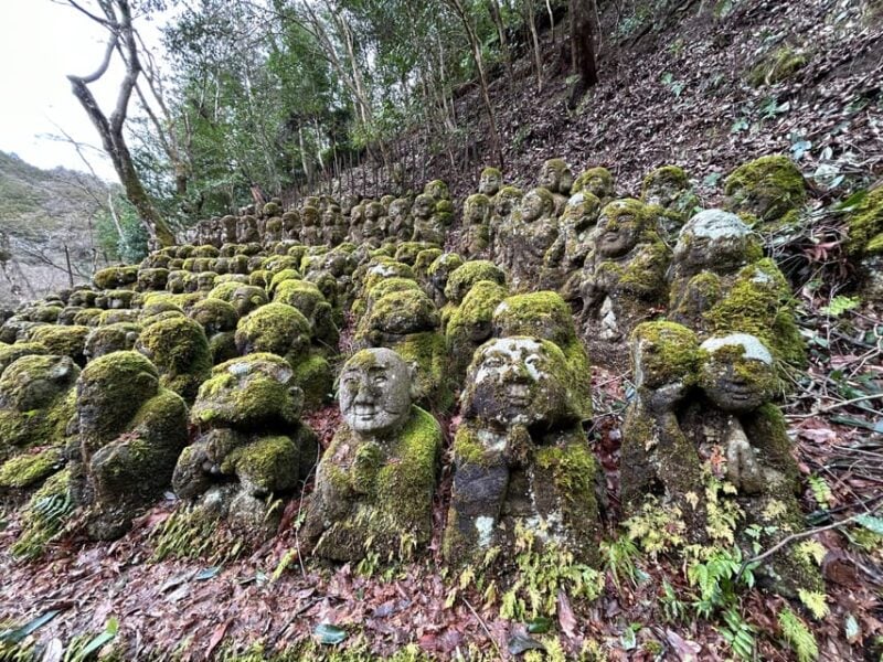 Nara Optional:Kyoto Private Car Tour With Japanese Navigator - FAQ