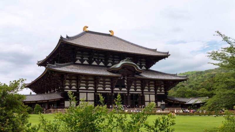 Nara Park and Kofuku-ji Audio Guide: The Enchanted Grounds - Deer in Nara Park