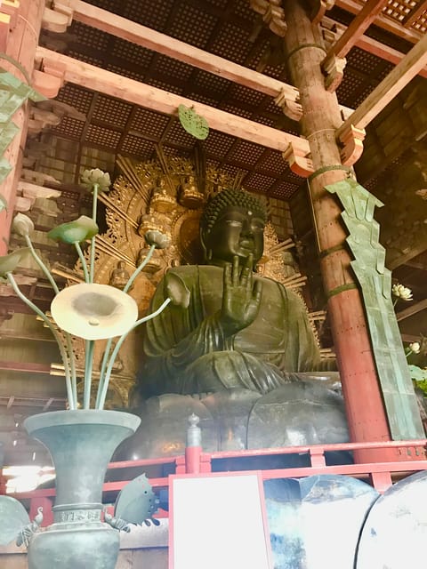 Nara Park and Todai-ji Private Spanish Tour - Guided Tour Features