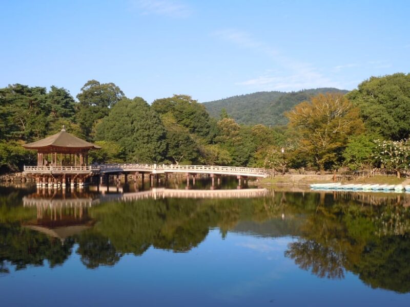 Nara Park and Todai-ji Private Spanish Tour - Wildlife Interaction
