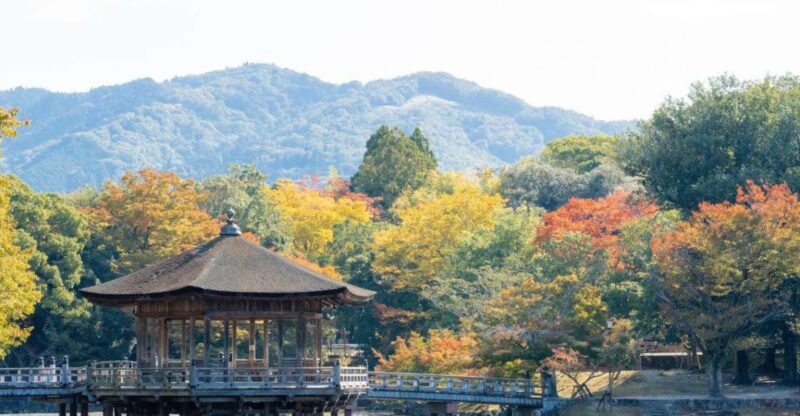Nara: Private City Tour With A Local Guide - Highlights of the Tour