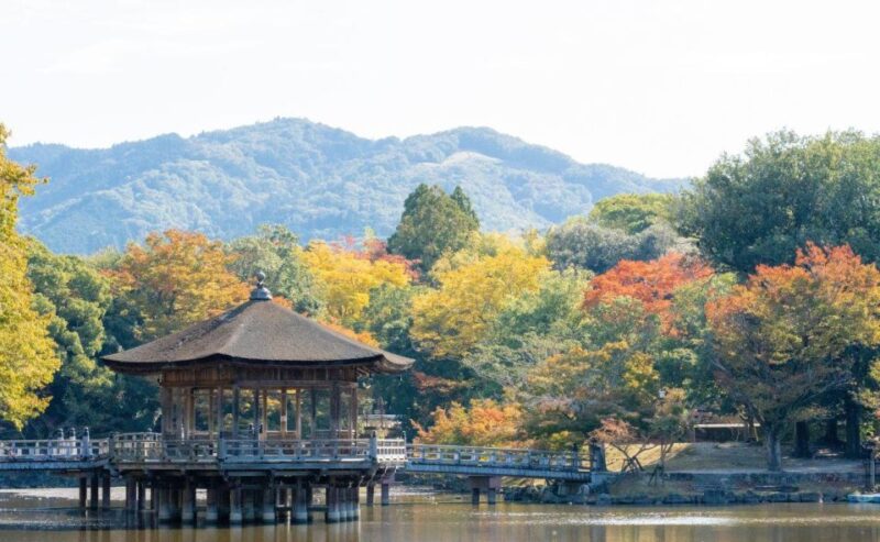 Nara: Private City Tour With A Local Guide - Inclusions and Exclusions