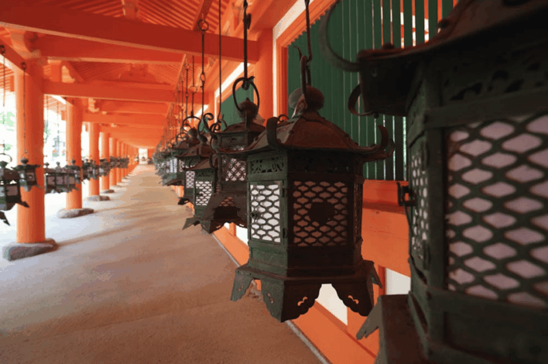 Nara Private Custom Tour With Local Guide - Tour Activities