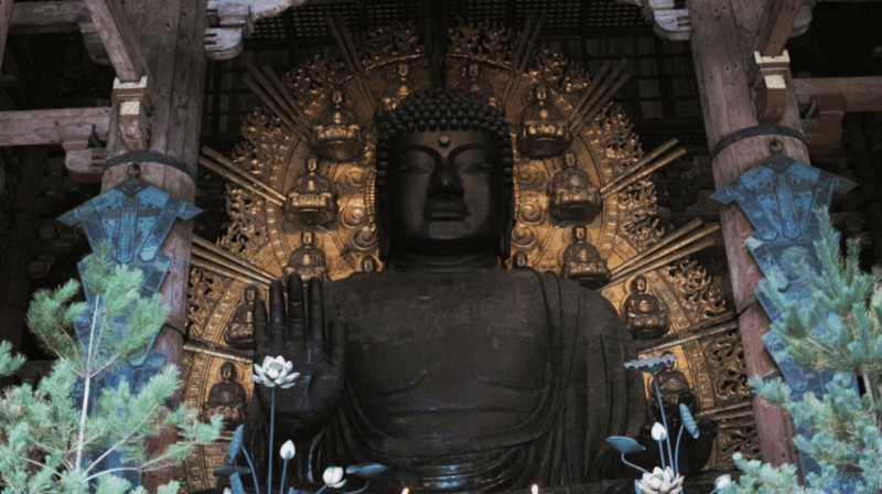Nara Private Custom Tour With Local Guide - Todaiji Temple and Great Buddha