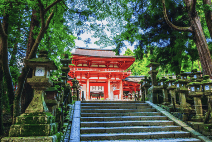 Nara Private Custom Tour With Local Guide - Kasuga Taisha Shrine and Isuien Garden