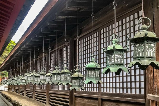 Nara Private Day Trip - Enjoy Your First-Time Visit to Nara! - Exploring Nara Park and Feeding the Deer