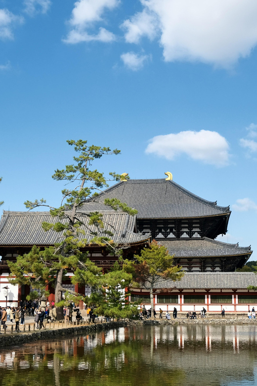 Nara Private Full Day Tour With a Culinary Guide - Visiting Todaiji Temples Giant Buddha