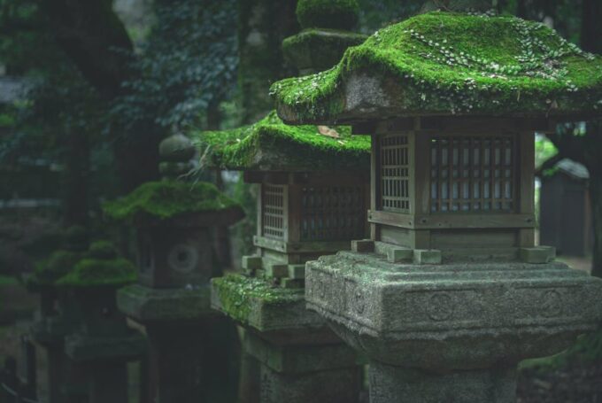 Nara Private Full Day Tour With a Culinary Guide - Frequently Asked Questions