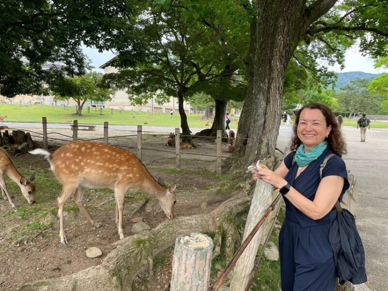 Nara: Private Half Day Local Guide - Inclusions