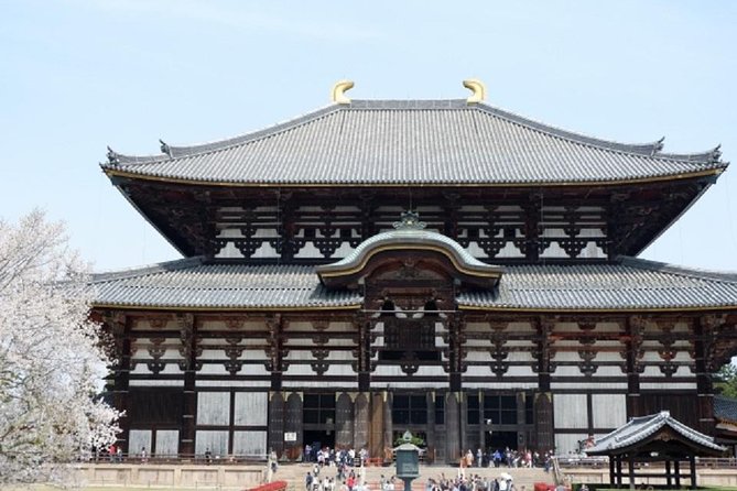 Nara Private Tour by Public Transportation From Kyoto - Strolling Through the Deer Park