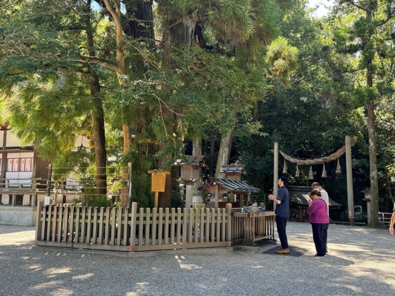 Nara: Private Tour of Japans Oldest Shrine, Omiwa Shrine - Key Points