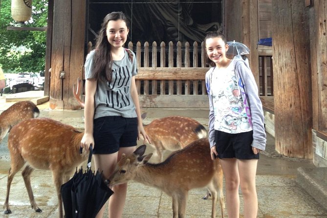 Nara Private Tour (Shore Excursion Available From Osaka or Kobe Port) - Inclusions and Costs