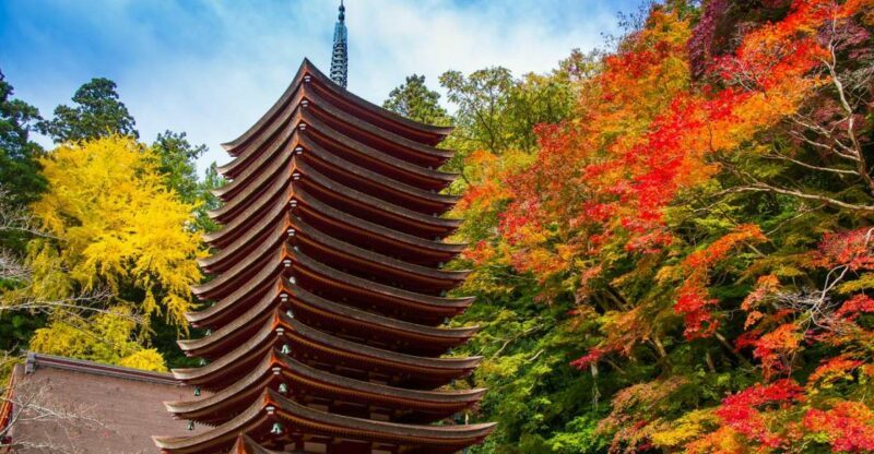 Nara: Private Tour with Private Guide - An In-Depth Look: What to Expect from the Tour