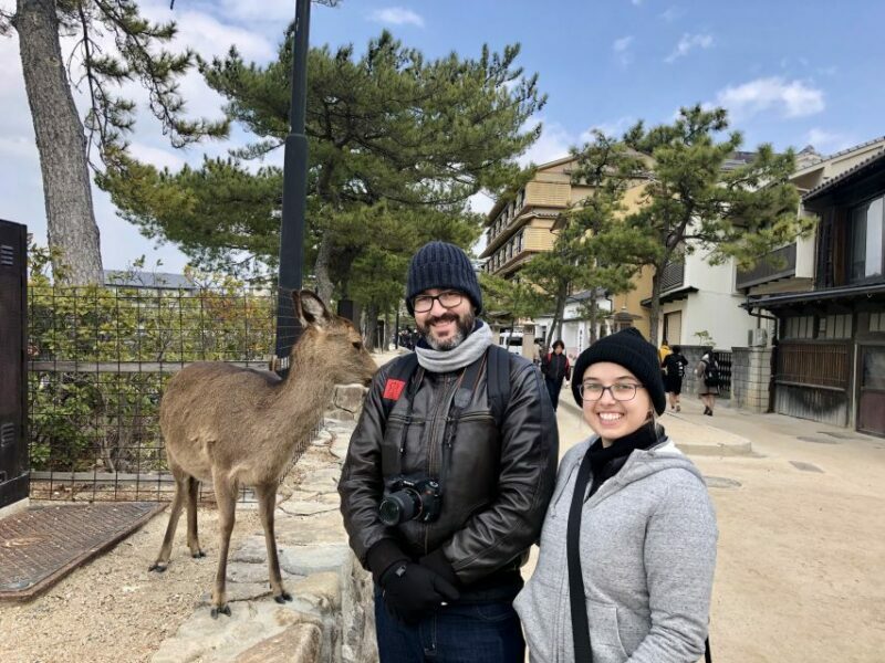 Nara: Private Tour with Private Guide - Practical Details
