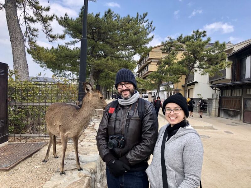 Nara: Private Tour With Private Guide - Key Points