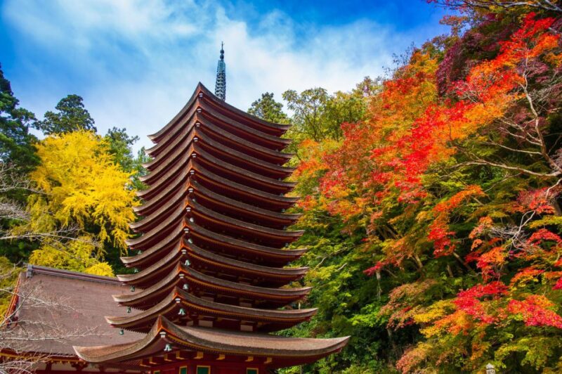 Nara: Private Tour With Private Guide - Inclusions