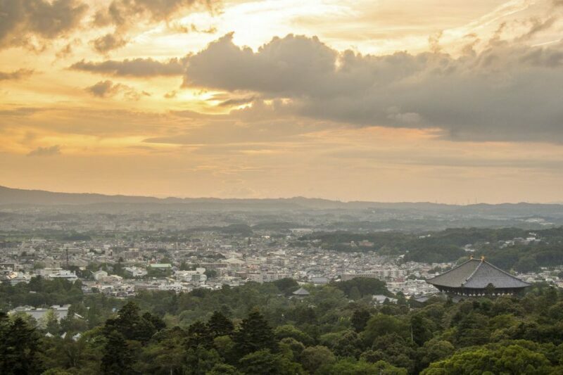 Nara: Private Walking Tour with a Local - Who Should Consider This Tour?