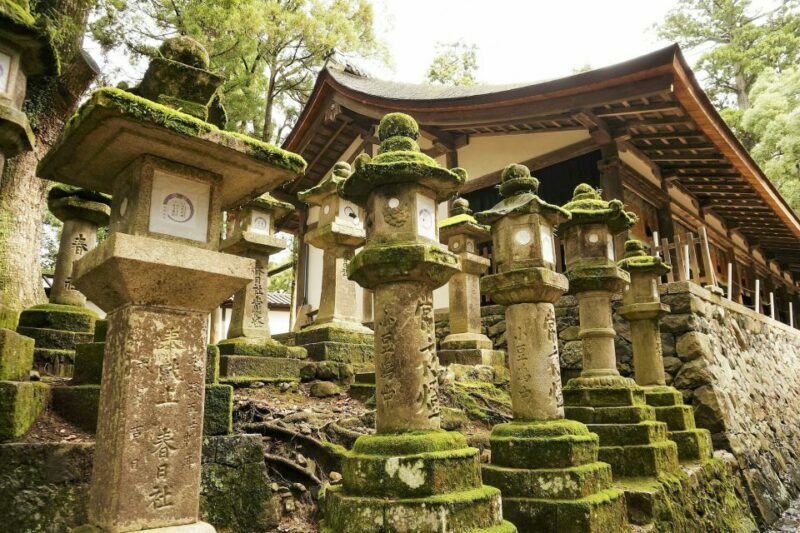 Nara: Private Walking Tour with a Local - Final Thoughts