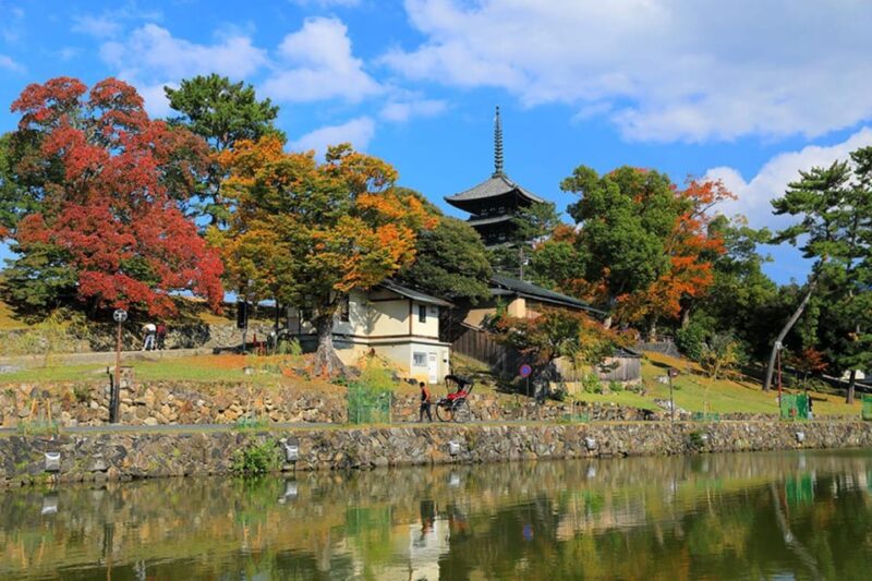 Nara: Private Walking Tour With Famous Spots & Sake & Mochi - Visiting Todaiji Temple