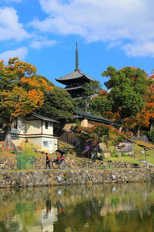 Nara: Private Walking Tour With Famous Spots & Sake & Mochi - Exploring Kasuga Taisha Shrine