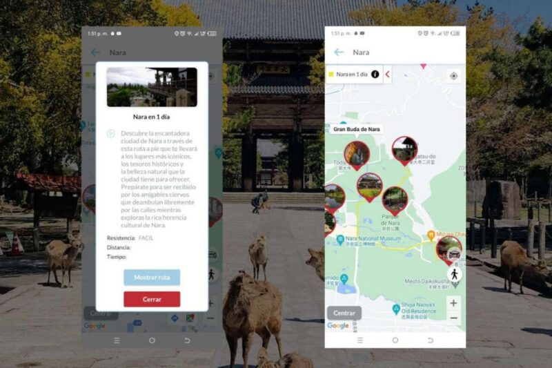 Nara Self-Guided App With Multi-Language Audio Guide - Accessibility for Wheelchair Users