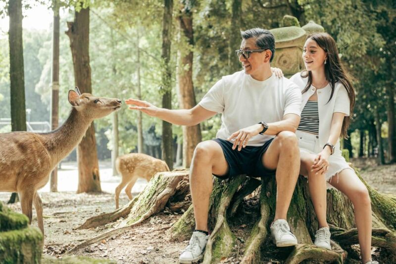 Nara Serenity: Memories Among Deer and Temples - Key Points