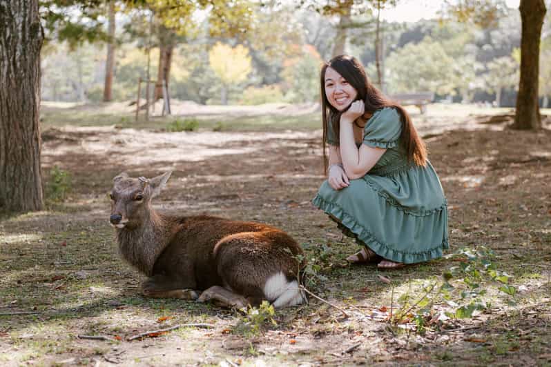 Nara Serenity: Memories Among Deer and Temples - Encountering the Friendly Deer