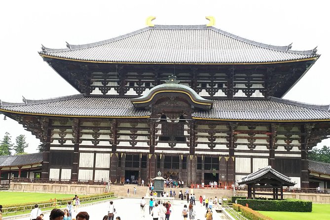 Nara Todaiji Lazy Bird Tour - Highlights of the Tour