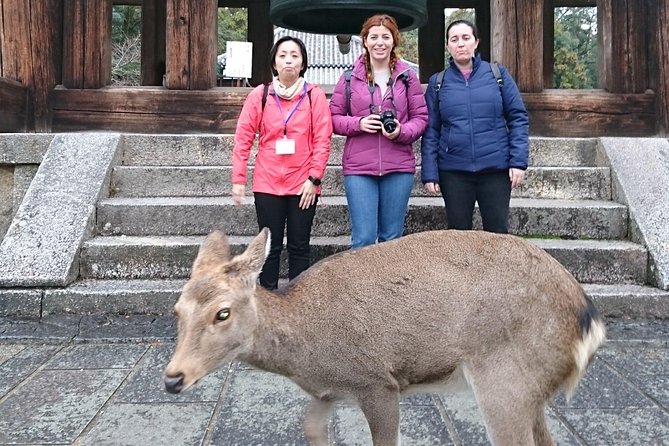 Nara Todaiji Lazy Bird Tour - Sake Brewery Tour