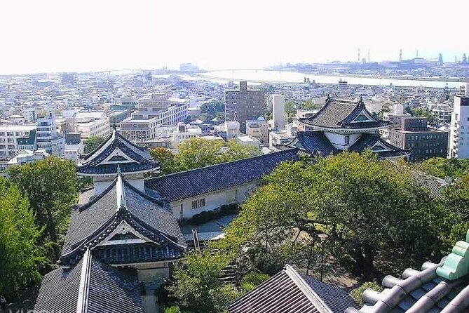 Nara, Todaiji Temple and Kuroshio Market One Day Tour From Osaka - Accessibility and Participation Requirements