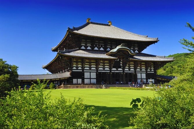 Nara, Todaiji Temple & Kuroshio Market Day BUS Tour From Osaka - Meeting and Pickup Details