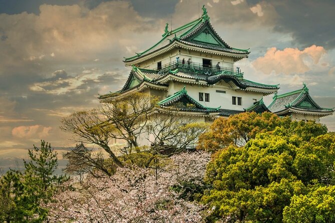 Nara, Todaiji Temple & Kuroshio Market Day BUS Tour From Osaka - Group Size and Accessibility