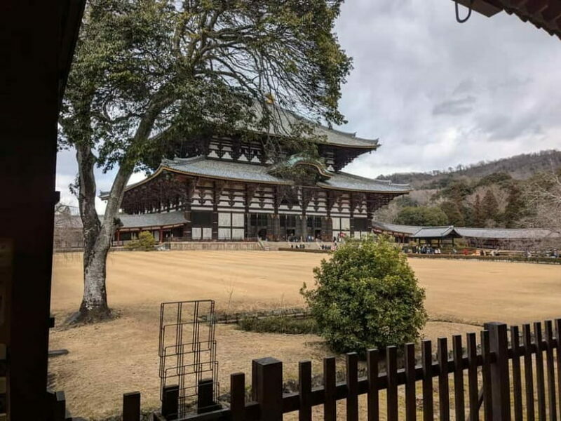 Nara: UNESCO Heritage Sites & Deer Park Tour with Pro guide - Key Points