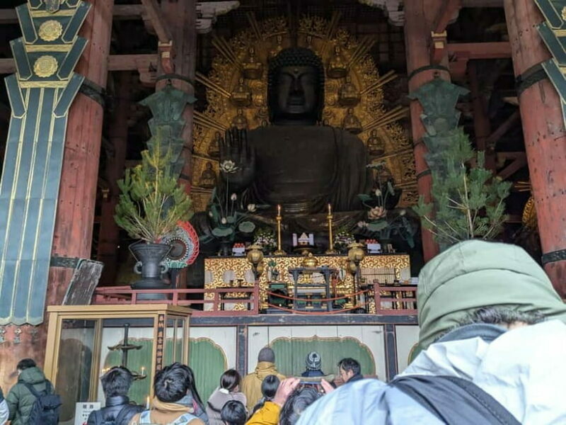 Nara: UNESCO Heritage Sites & Deer Park Tour with Pro guide - Pricing and Value Analysis