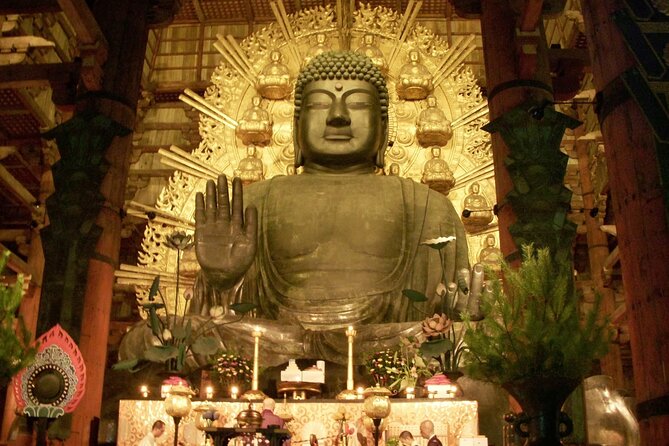 Nara World Heritage PRIVATE TOUR - Meeting Point and End Point