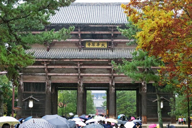 Nara World Heritage PRIVATE TOUR - Taking in Japanese Culture